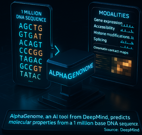DNA visualization